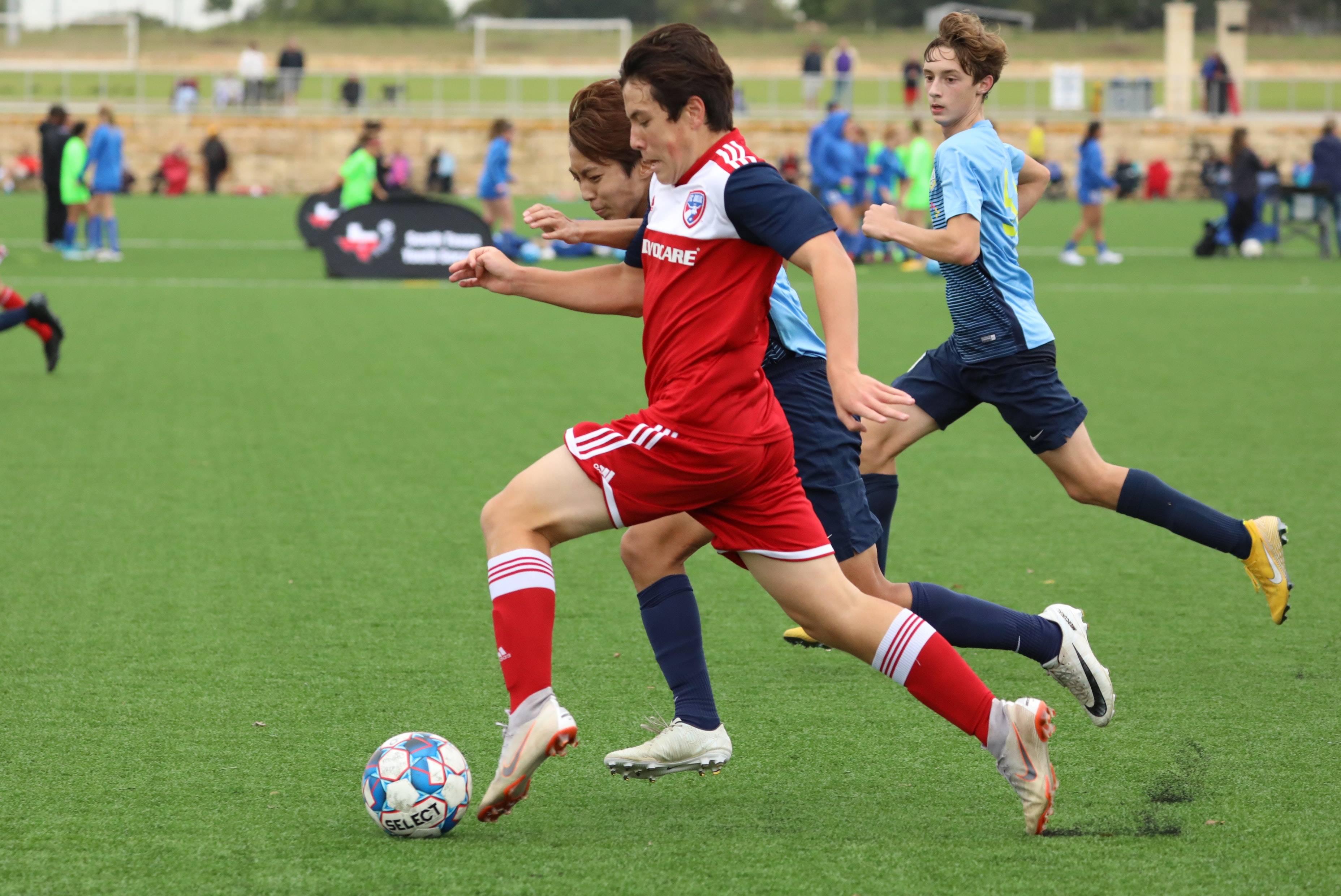 25年的主 25年的主